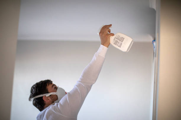 Mold Removal and Inspection in Fort Mitchell, KY