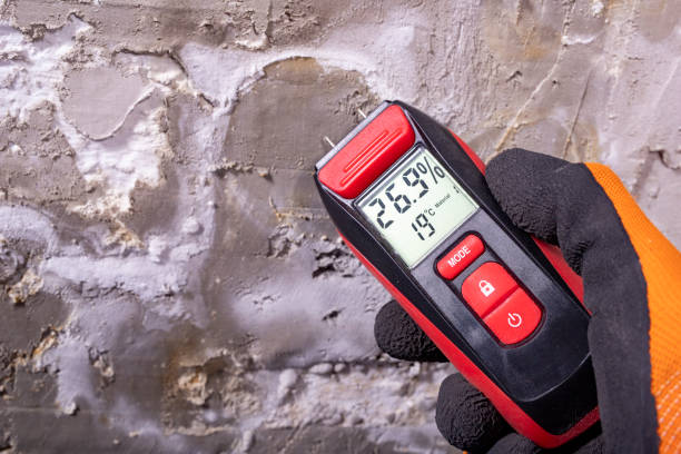 Best Commercial Mold Removal  in Fort Mitchell, KY