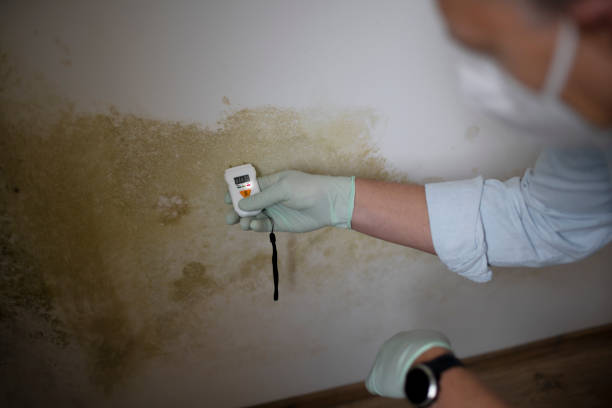 Best Emergency Mold Removal  in Fort Mitchell, KY