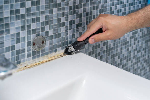 Best Mold Cleaning Services  in Fort Mitchell, KY